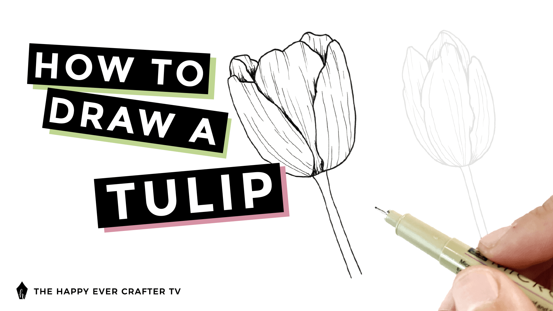 How to Draw a Tulip Photo